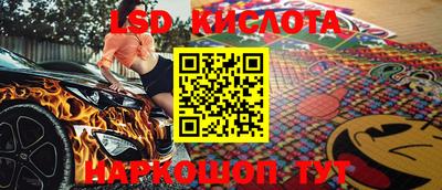 гидра Краснокаменск