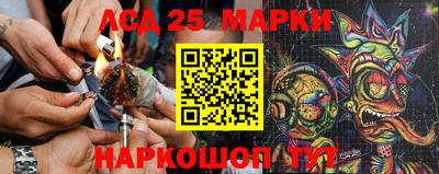 прущие грибы Краснознаменск