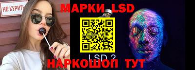 прущие грибы Краснознаменск
