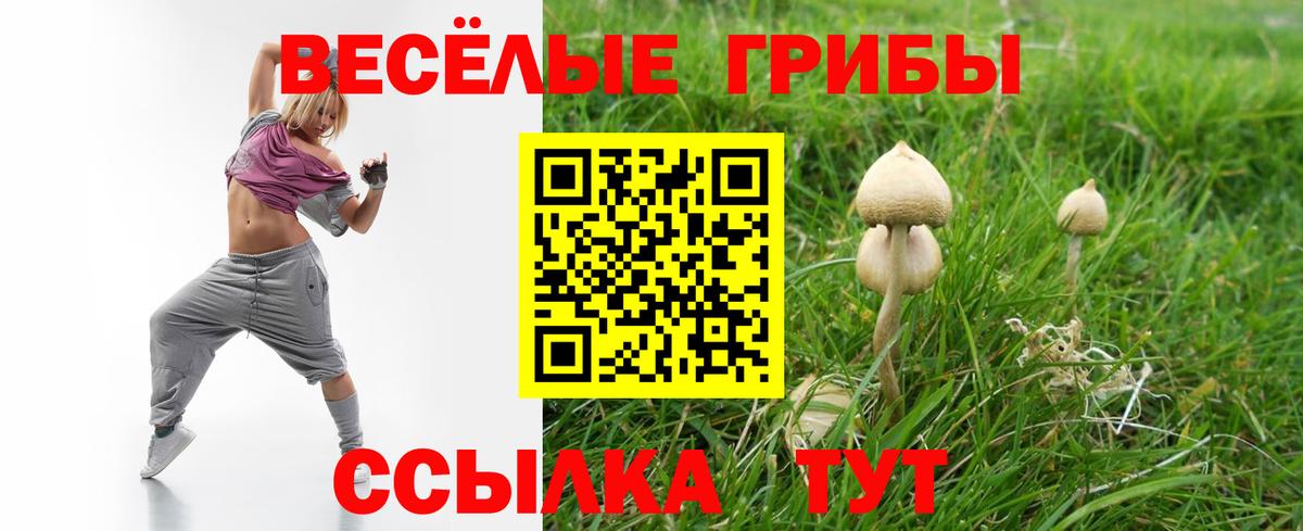 Галлюциногенные грибы GOLDEN TEACHER Арзамас